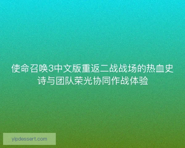使命召唤3中文版重返二战战场的热血史诗与团队荣光协同作战体验 使命召唤3中文版重返二战战场的热血史诗与团队荣光协同作战体验