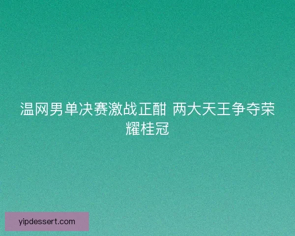 温网男单决赛激战正酣 两大天王争夺荣耀桂冠